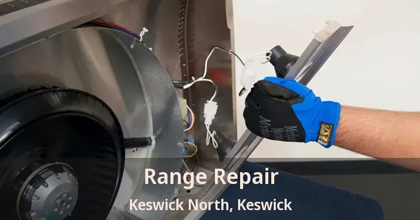 Range Repair Keswick North, Keswick - ON