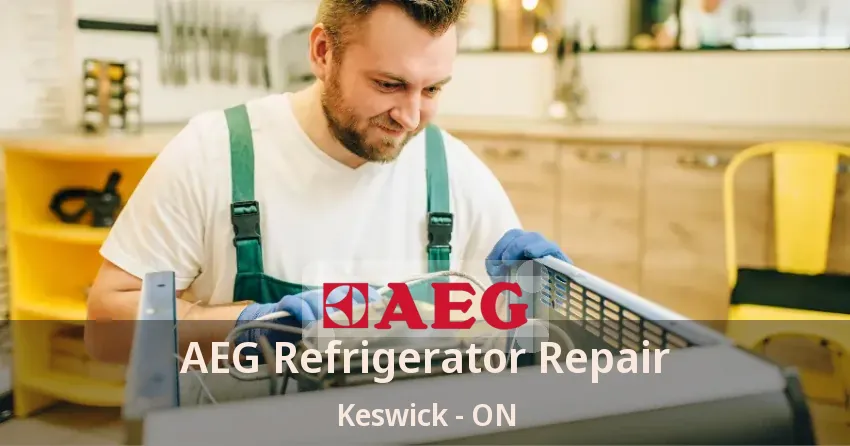 AEG Refrigerator Repair Keswick - ON
