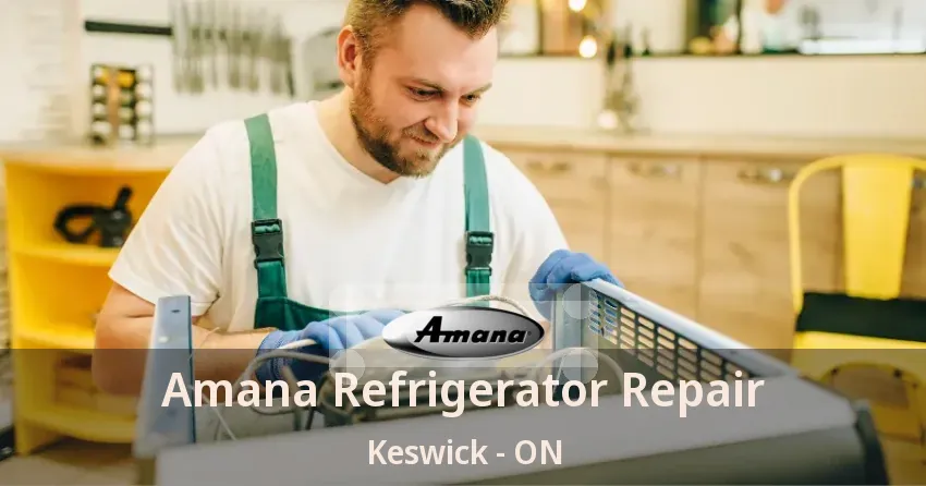 Amana Refrigerator Repair Keswick - ON