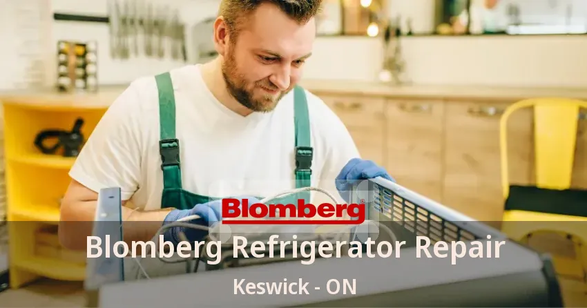 Blomberg Refrigerator Repair Keswick - ON