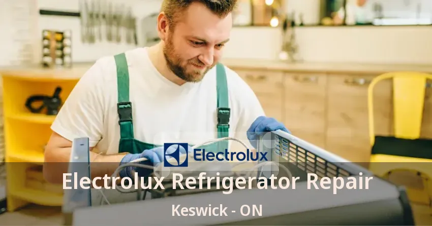 Electrolux Refrigerator Repair Keswick - ON