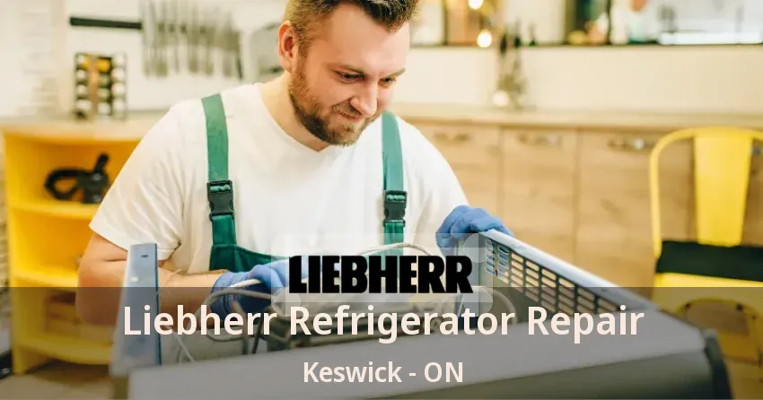 Liebherr Refrigerator Repair Keswick - ON