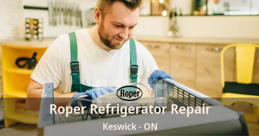 Roper Refrigerator Repair Keswick - ON