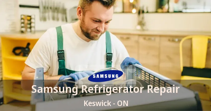 Samsung Refrigerator Repair Keswick - ON