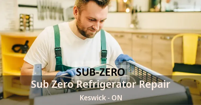 Sub Zero Refrigerator Repair Keswick - ON