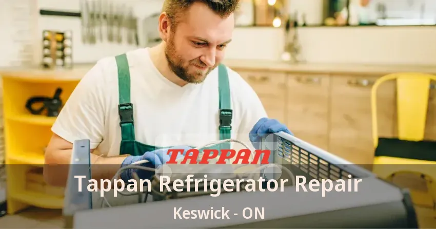 Tappan Refrigerator Repair Keswick - ON