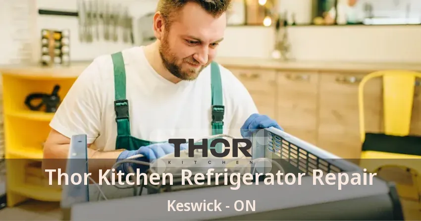 Thor Kitchen Refrigerator Repair Keswick - ON