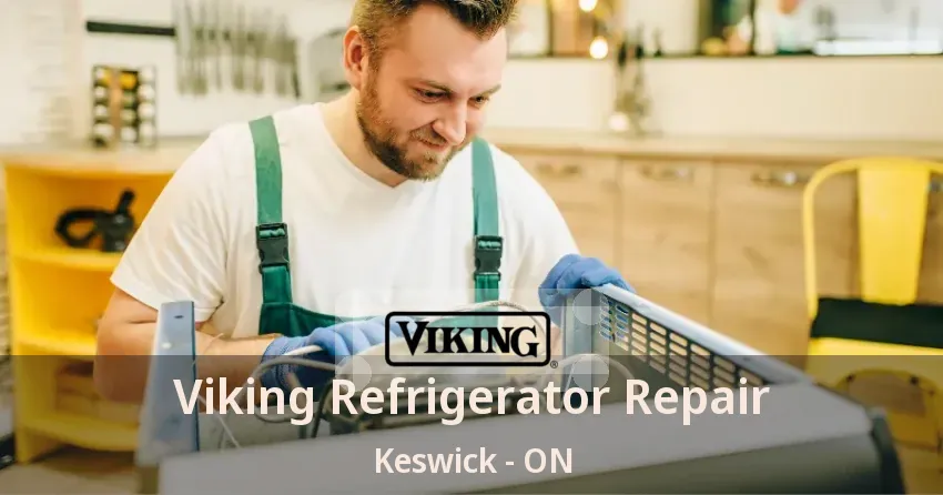 Viking Refrigerator Repair Keswick - ON