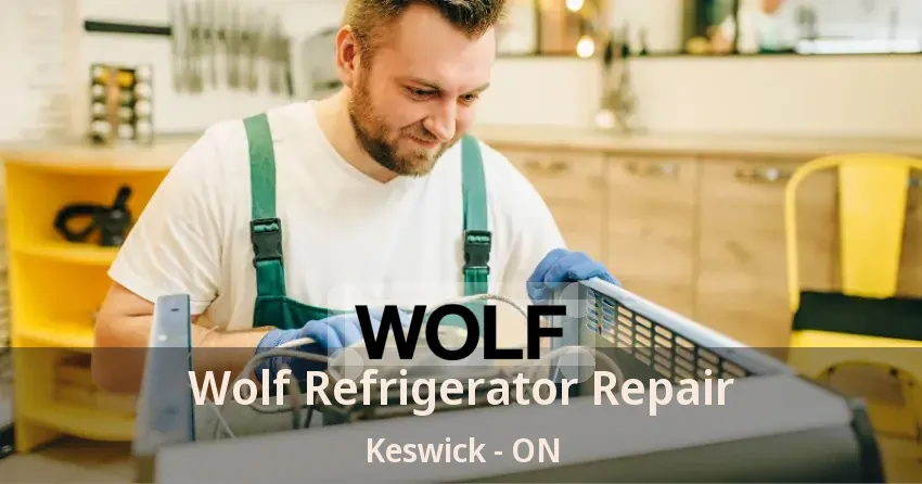 Wolf Refrigerator Repair Keswick - ON