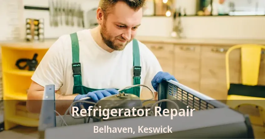 Refrigerator Repair Belhaven, Keswick - ON