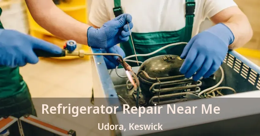 Refrigerator Repair Near Me Udora, Keswick - ON