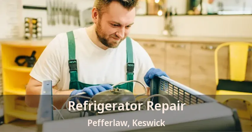 Refrigerator Repair Pefferlaw, Keswick - ON