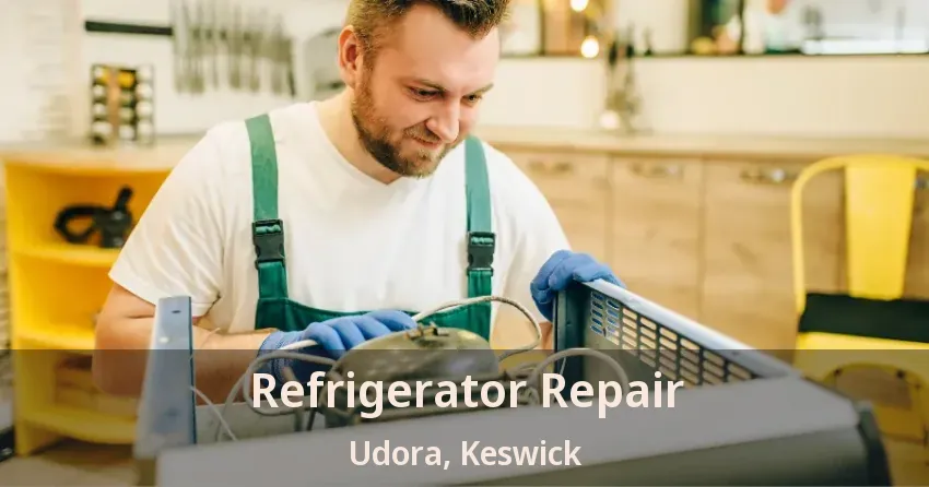 Refrigerator Repair Udora, Keswick - ON