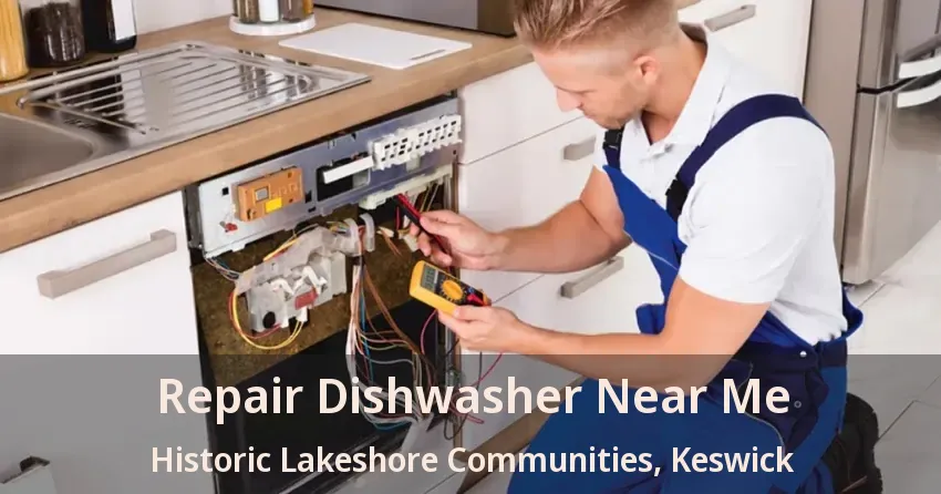 Repair Dishwasher Near Me Historic Lakeshore Communities, Keswick - ON