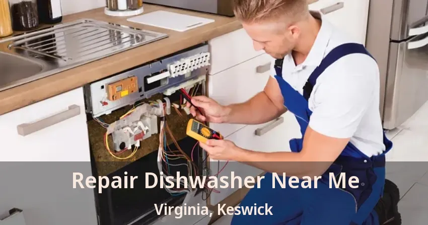 Repair Dishwasher Near Me Virginia, Keswick - ON