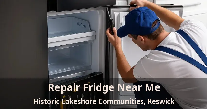 Repair Fridge Near Me Historic Lakeshore Communities, Keswick - ON