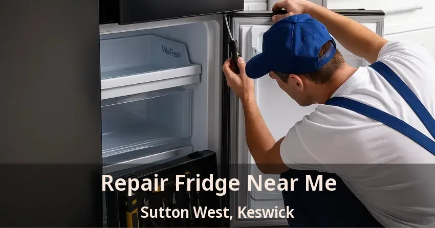 Repair Fridge Near Me Sutton West, Keswick - ON