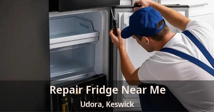 Repair Fridge Near Me Udora, Keswick - ON