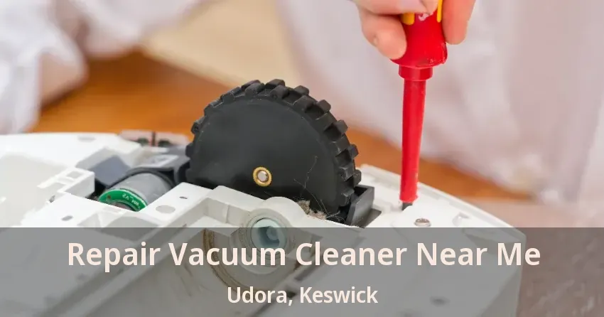 Repair Vacuum Cleaner Near Me Udora, Keswick - ON