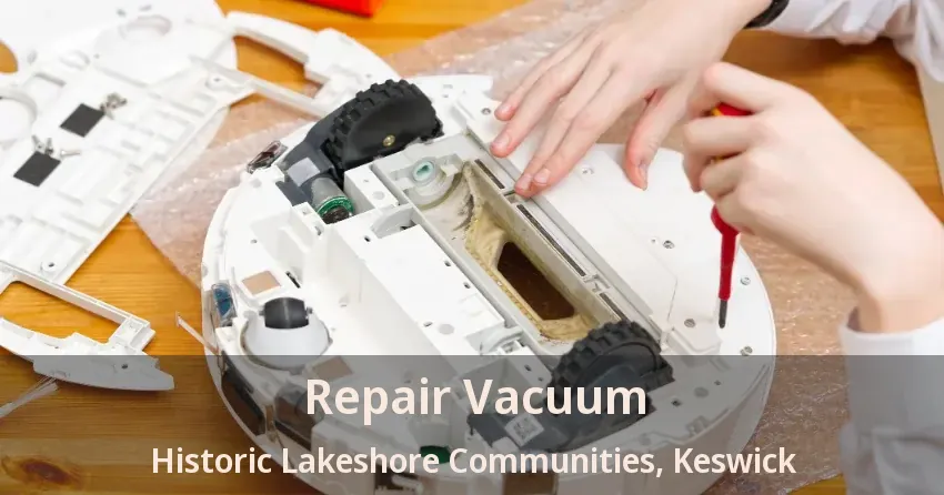 Repair Vacuum Historic Lakeshore Communities, Keswick - ON