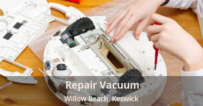 Repair Vacuum Willow Beach, Keswick - ON