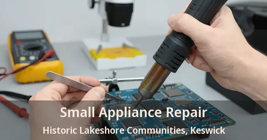Small Appliance Repair Historic Lakeshore Communities, Keswick - ON