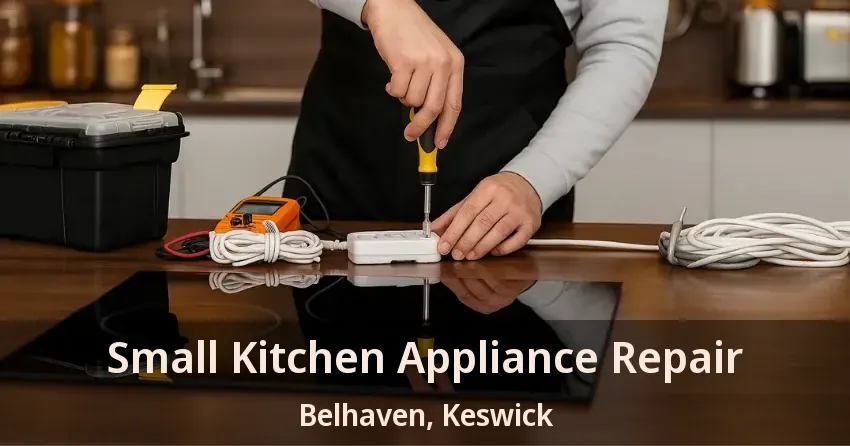 Small Kitchen Appliance Repair Belhaven, Keswick - ON