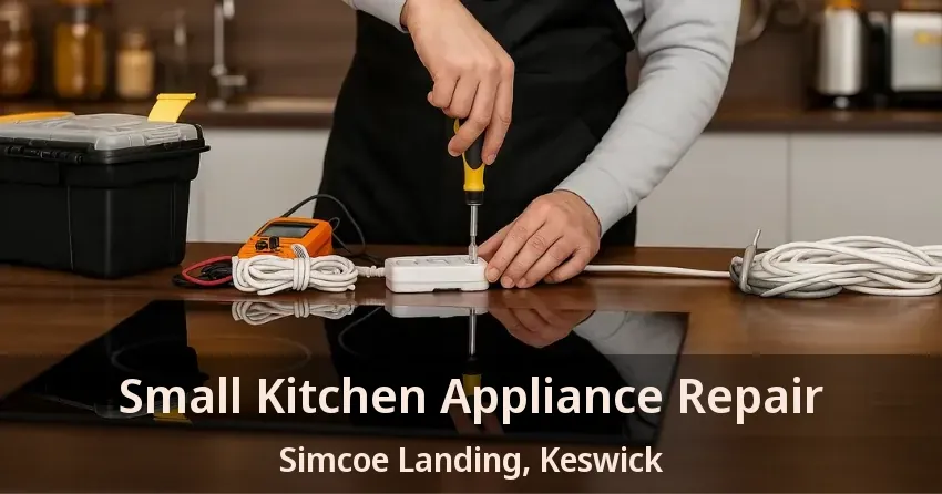 Small Kitchen Appliance Repair Simcoe Landing, Keswick - ON