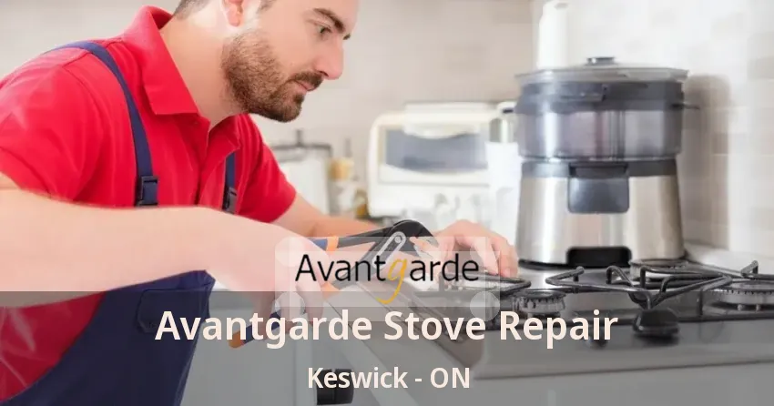 Avantgarde Stove Repair Keswick - ON