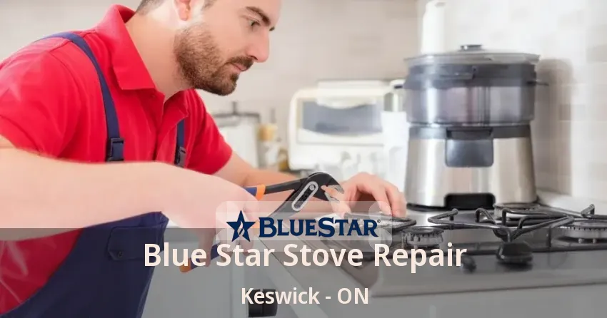 Blue Star Stove Repair Keswick - ON