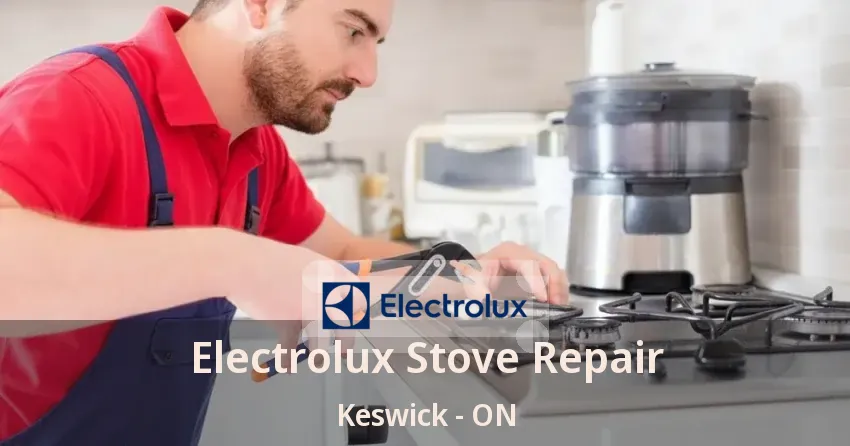 Electrolux Stove Repair Keswick - ON