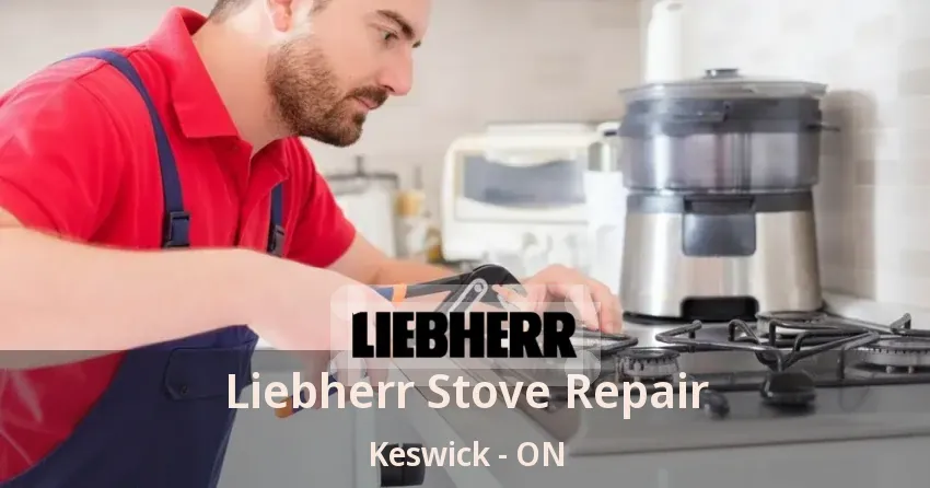 Liebherr Stove Repair Keswick - ON