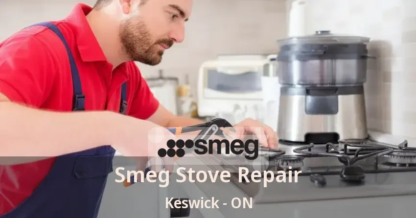 Smeg Stove Repair Keswick - ON