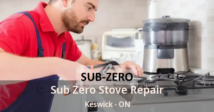 Sub Zero Stove Repair Keswick - ON