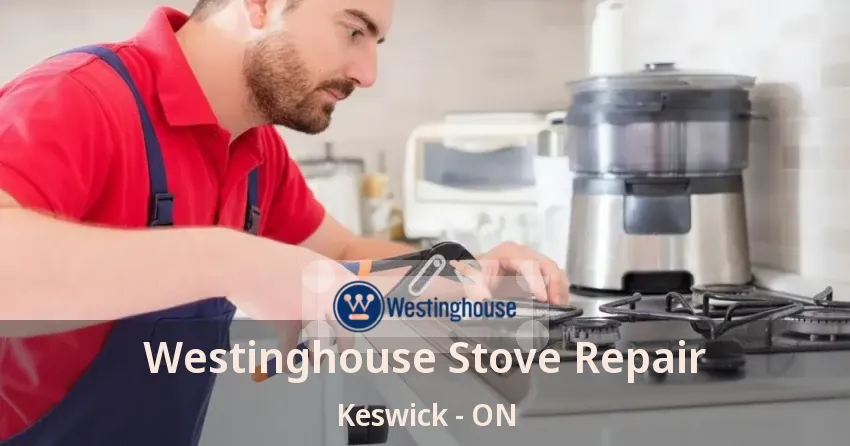 Westinghouse Stove Repair Keswick - ON