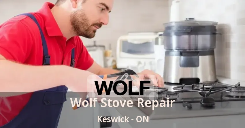 Wolf Stove Repair Keswick - ON