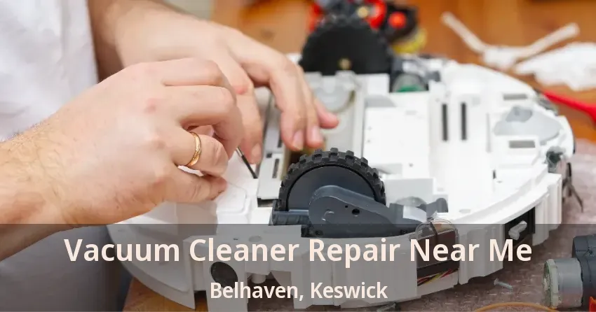Vacuum Cleaner Repair Near Me Belhaven, Keswick - ON