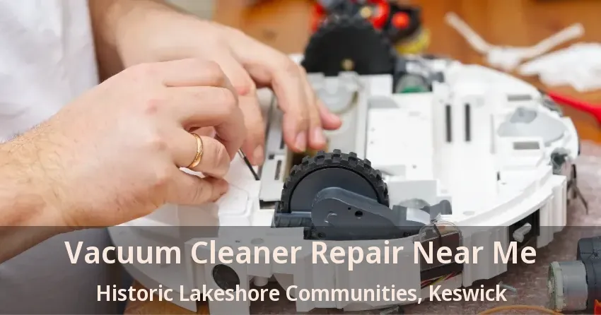 Vacuum Cleaner Repair Near Me Historic Lakeshore Communities, Keswick - ON