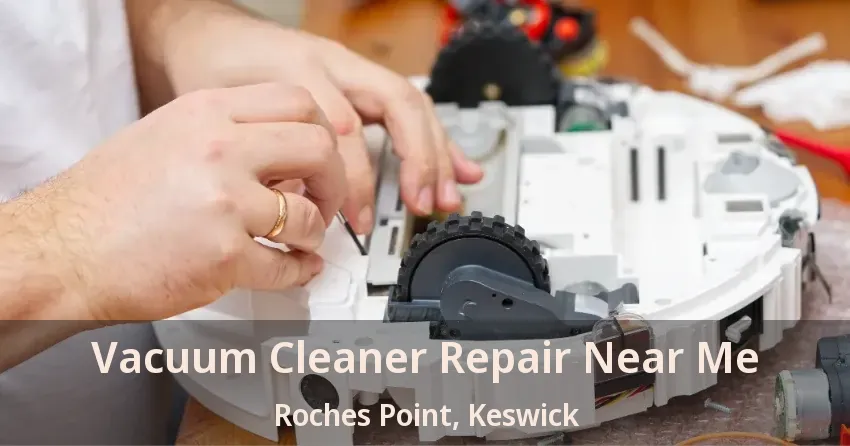 Vacuum Cleaner Repair Near Me Roches Point, Keswick - ON