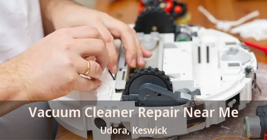 Vacuum Cleaner Repair Near Me Udora, Keswick - ON