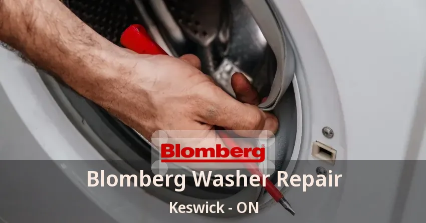 Blomberg Washer Repair Keswick - ON