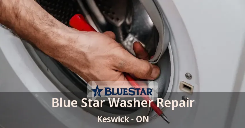 Blue Star Washer Repair Keswick - ON