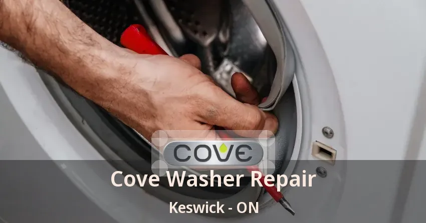 Cove Washer Repair Keswick - ON