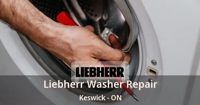 Liebherr Washer Repair Keswick - ON