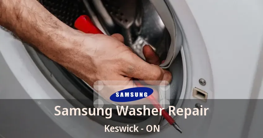 Samsung Washer Repair Keswick - ON