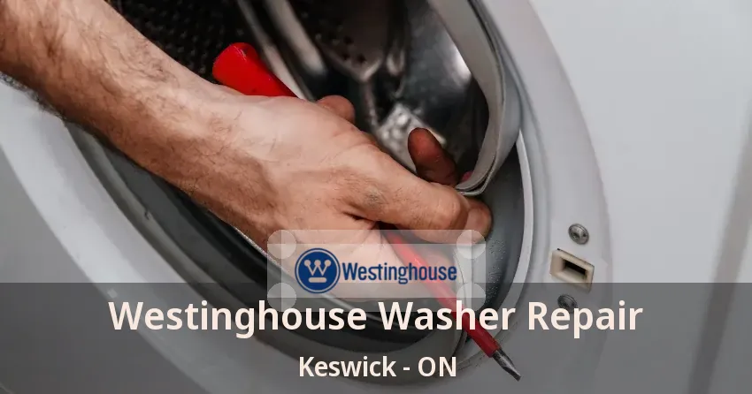 Westinghouse Washer Repair Keswick - ON