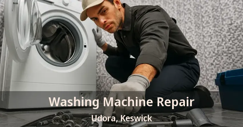 Washing Machine Repair Udora, Keswick - ON